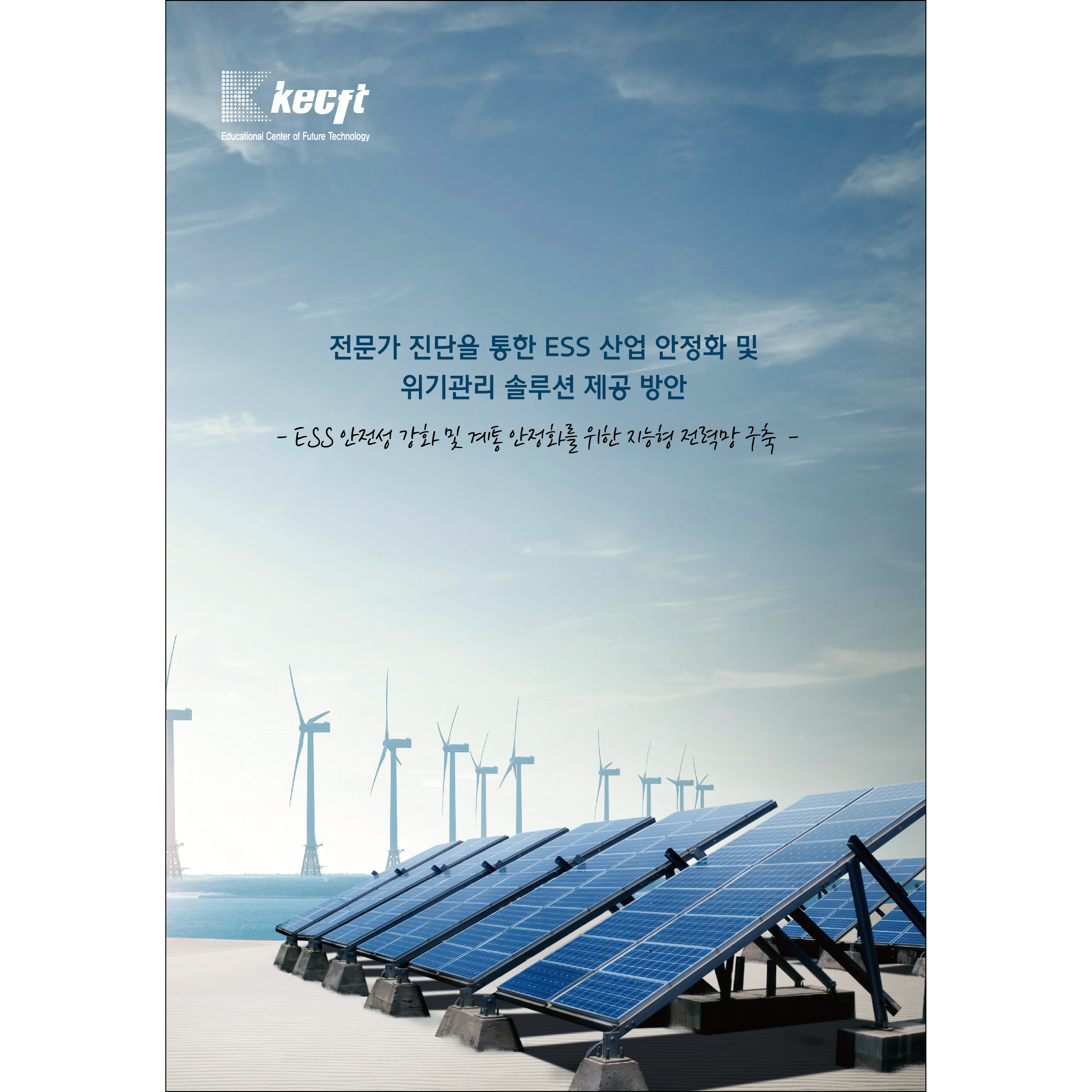 전문가 진단을 통한 ESS 산업 안정화 및 위기관리 솔루션 제공 방안