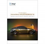 Advanced Battery 소재 및 공정 개발 현황과 양산 기술
