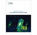고성능 나트륨 배터리(SIB) 개발 현황과 상용화 방안