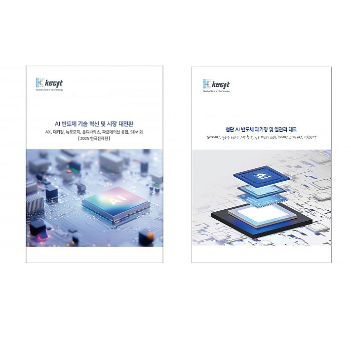 AI 반도체·패키징 (총2권)